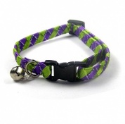 Green and Purple Sophisticated Cat Collar